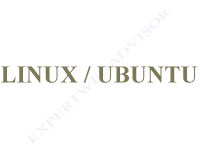 Linux Ubuntu Article
