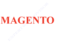 Magento Article