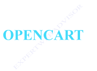 Opencart Article