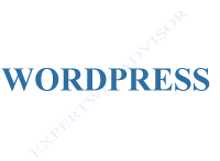Wordpress Article