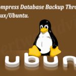 Compress/Decompress Database Backup Through The Terminal In Linux/Ubuntu