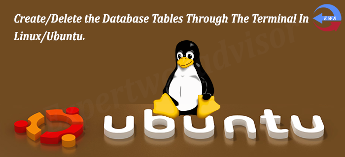 Create/Delete the Database Tables Through The Terminal In Linux/Ubuntu