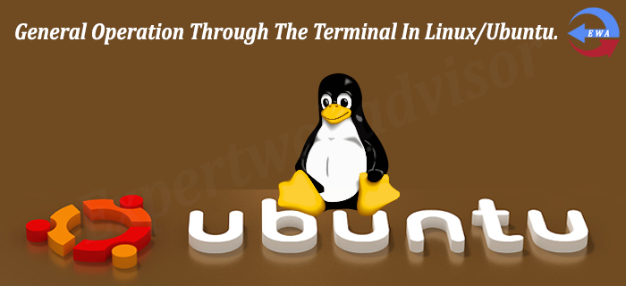 General Operation Through The Terminal In Linux/Ubuntu