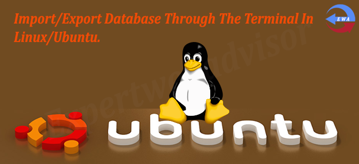Import/Export Database Through The Terminal In Linux/Ubuntu