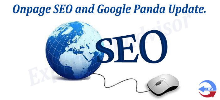 Onpage SEO and Google Panda Update