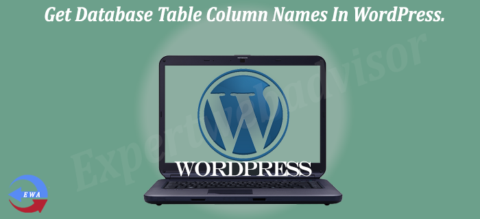 Get Database Table Column Names In WordPress.