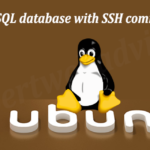 Create MySQL database with SSH command