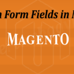 Admin Form Fields in Magento