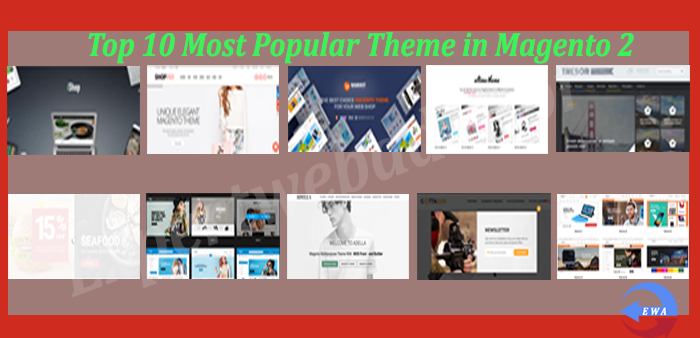 Top 10 Most Popular Theme in Magento 2